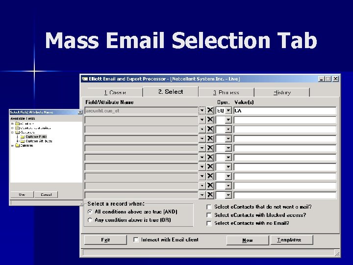 Mass Email Selection Tab 