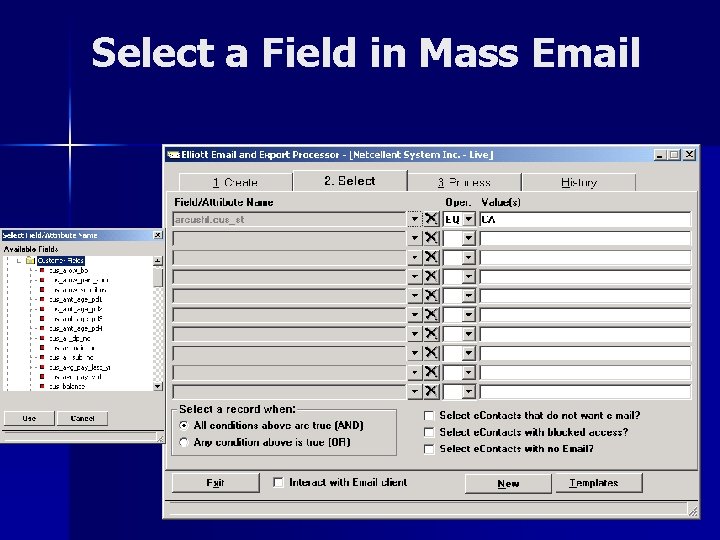 Select a Field in Mass Email 