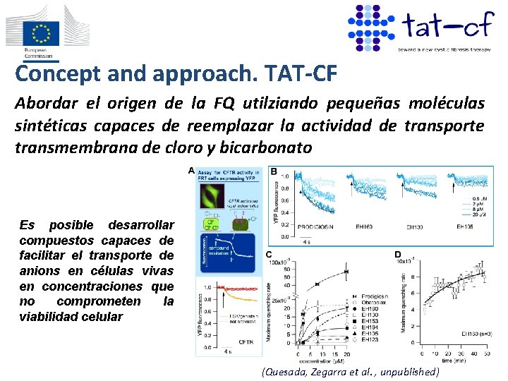 Concept and approach. TAT-CF Abordar el origen de la FQ utilziando pequeñas moléculas sintéticas