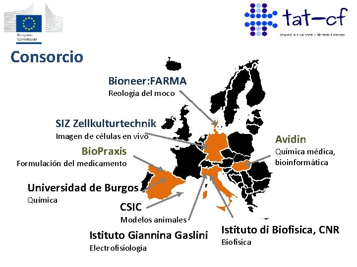 Consorcio Bioneer: FARMA Reología del moco SIZ Zellkulturtechnik Imagen de células en vivo Avidin