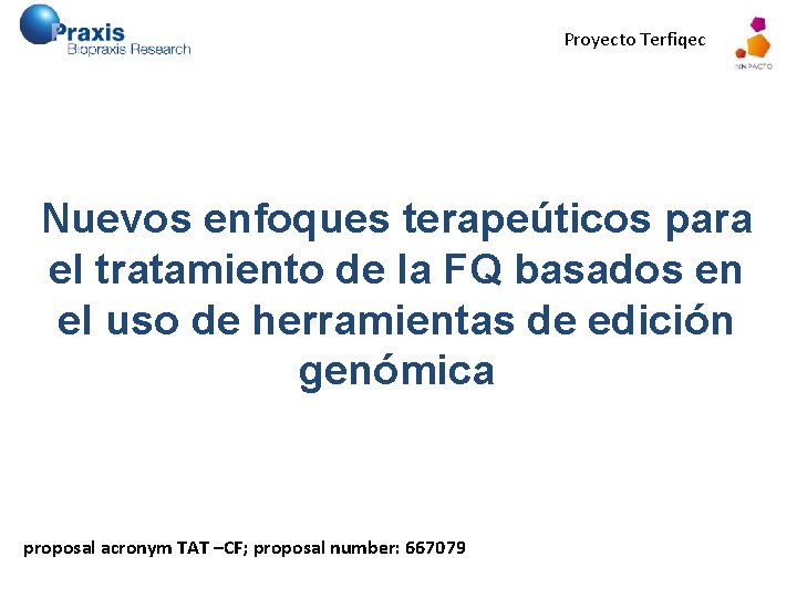 Proyecto Terfiqec Nuevos enfoques terapeúticos para el tratamiento de la FQ basados en el