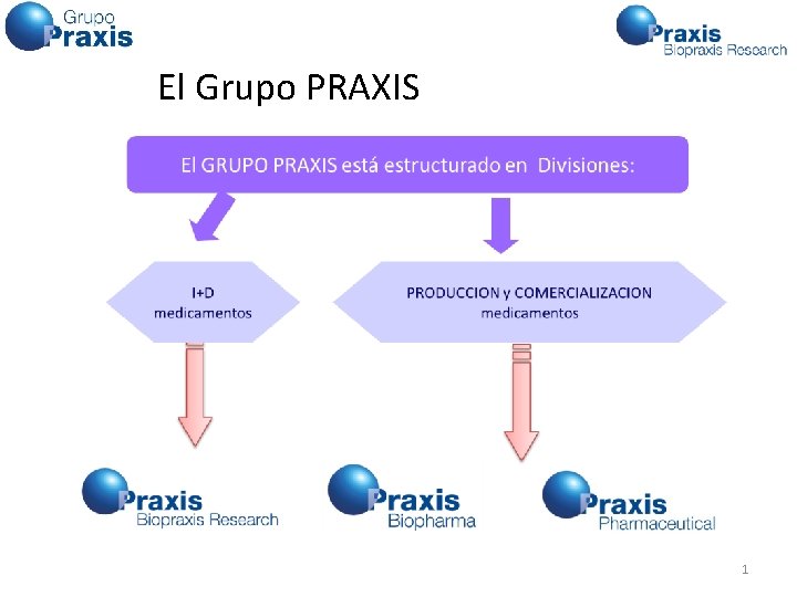 El Grupo PRAXIS 1 