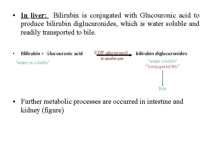  • In liver: Bilirubin is conjugated with Glucouronic acid to produce bilirubin diglucuronides,