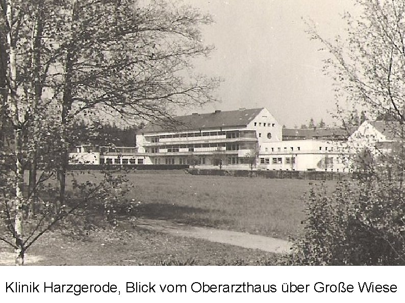 Klinik Harzgerode, Blick vom Oberarzthaus über Große Wiese 