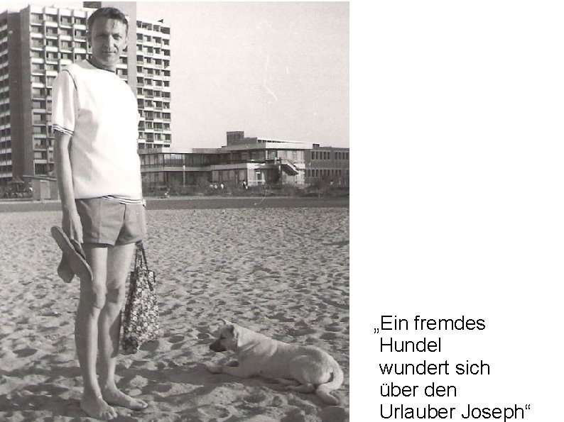 „Ein fremdes Hundel wundert sich über den Urlauber Joseph“ 