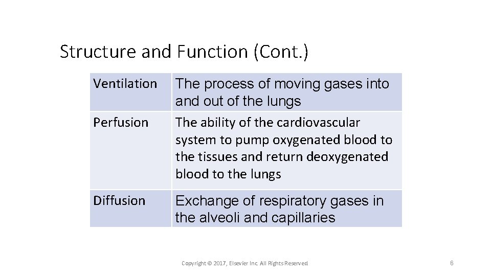 Structure and Function (Cont. ) Ventilation Perfusion Diffusion The process of moving gases into