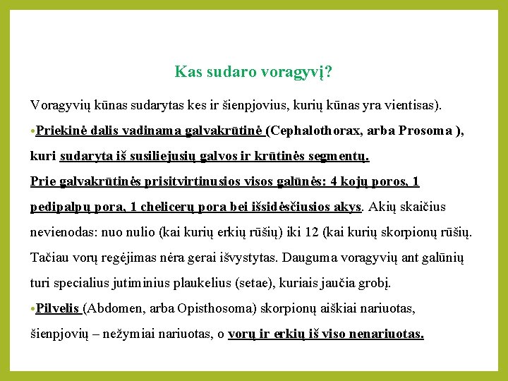 Kas sudaro voragyvį? Voragyvių kūnas sudarytas kes ir šienpjovius, kurių kūnas yra vientisas). •