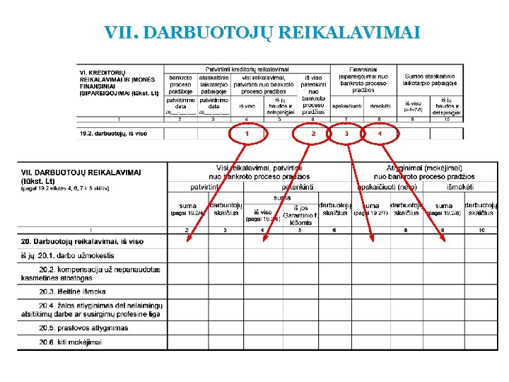 VII. DARBUOTOJŲ REIKALAVIMAI 