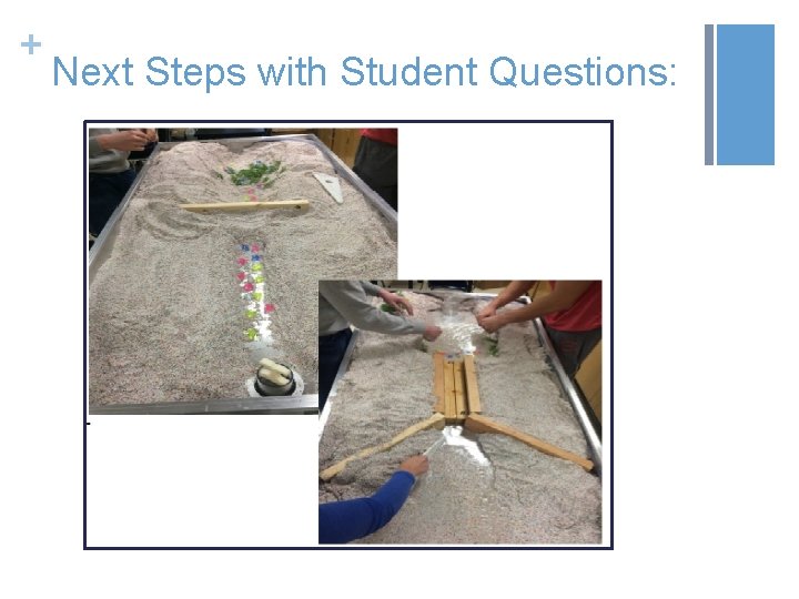 + Next Steps with Student Questions: 