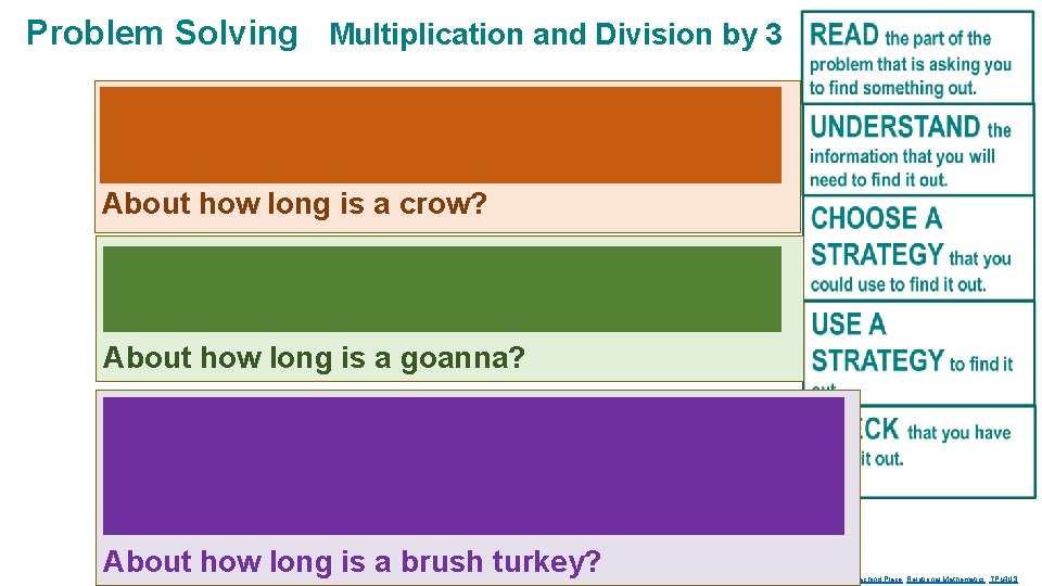 Problem Solving Multiplication and Division by 3 A budgie is about 13 cm long.