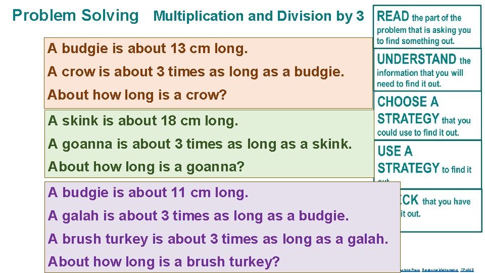 Problem Solving Multiplication and Division by 3 A budgie is about 13 cm long.