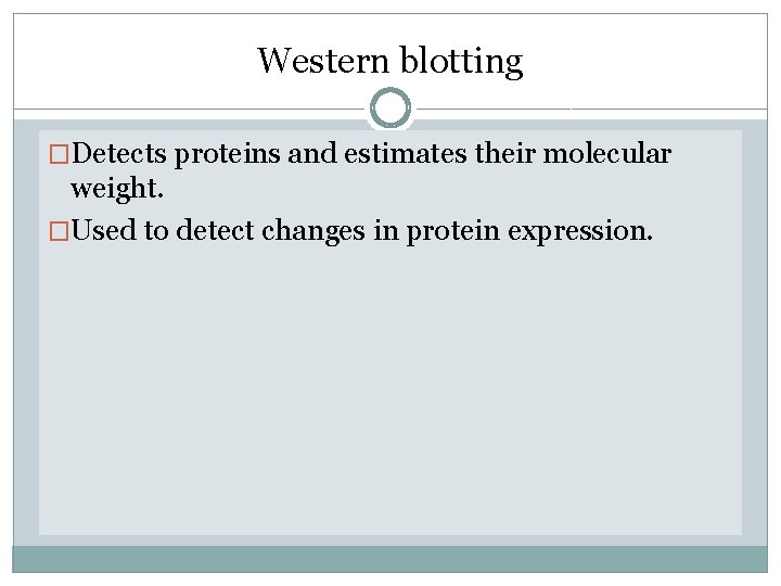 Western blotting �Detects proteins and estimates their molecular weight. �Used to detect changes in