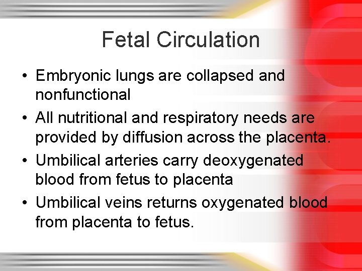 Fetal Circulation • Embryonic lungs are collapsed and nonfunctional • All nutritional and respiratory