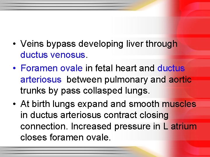  • Veins bypass developing liver through ductus venosus. • Foramen ovale in fetal