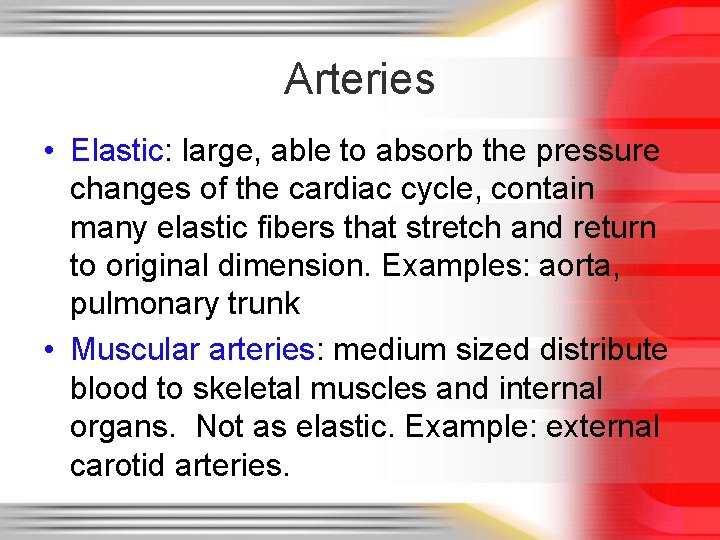 Arteries • Elastic: large, able to absorb the pressure changes of the cardiac cycle,