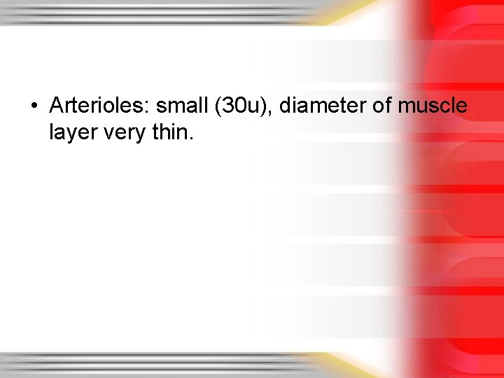  • Arterioles: small (30 u), diameter of muscle layer very thin. 