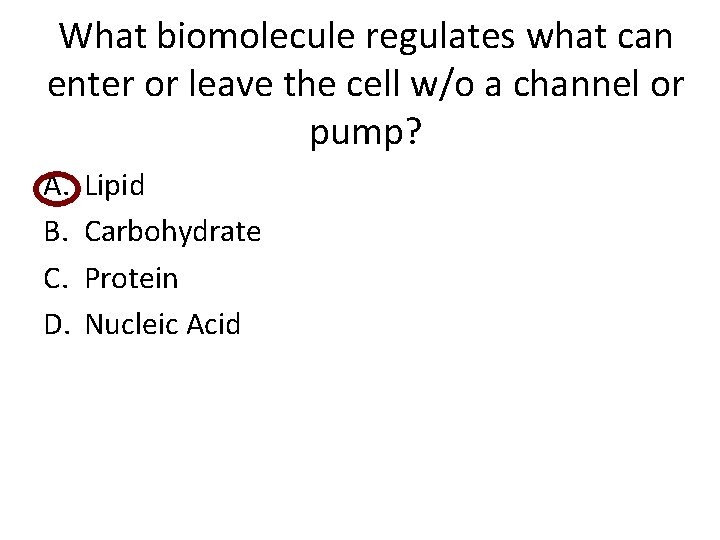 What biomolecule regulates what can enter or leave the cell w/o a channel or