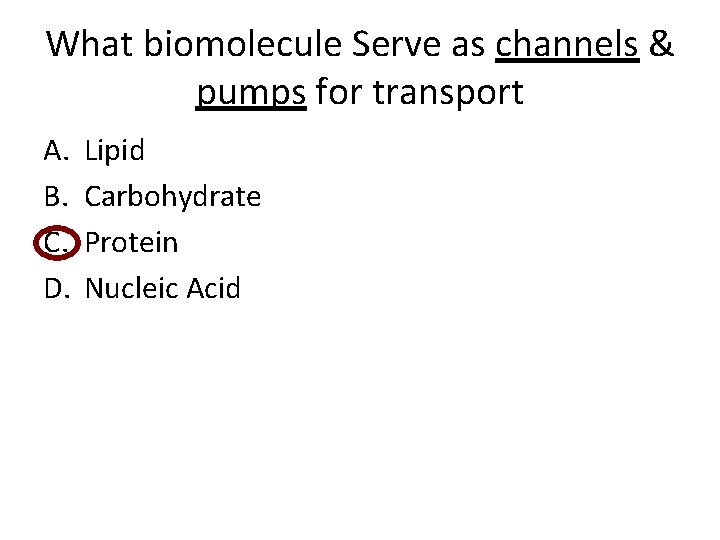 What biomolecule Serve as channels & pumps for transport A. B. C. D. Lipid