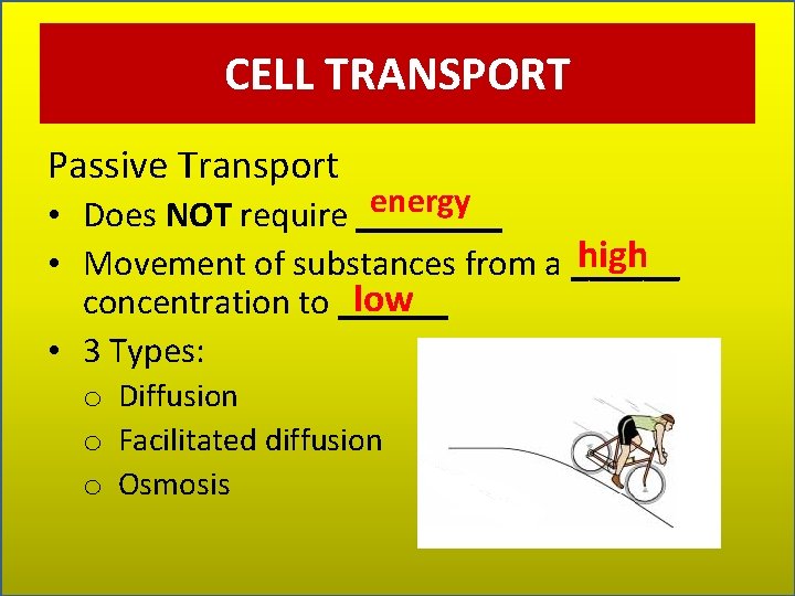 CELL TRANSPORT Passive Transport energy • Does NOT require ____ high • Movement of
