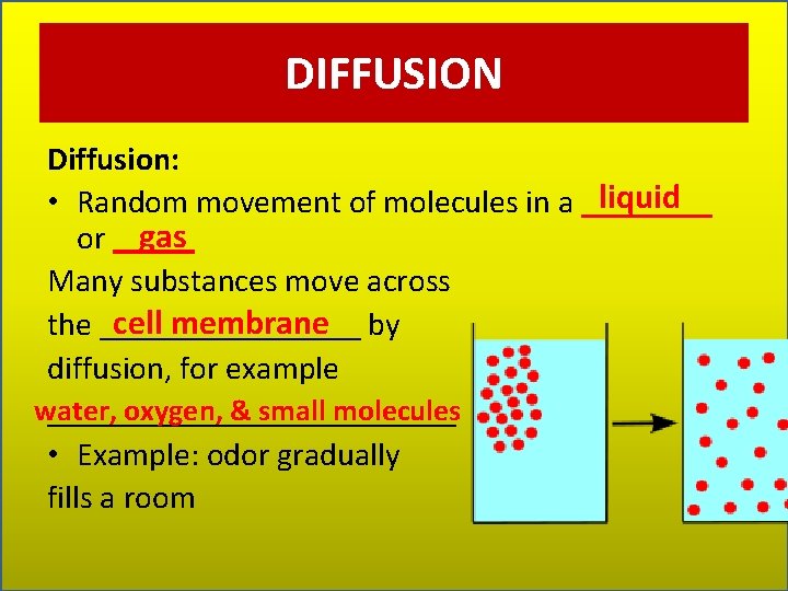 DIFFUSION Diffusion: liquid • Random movement of molecules in a ____ gas or _____