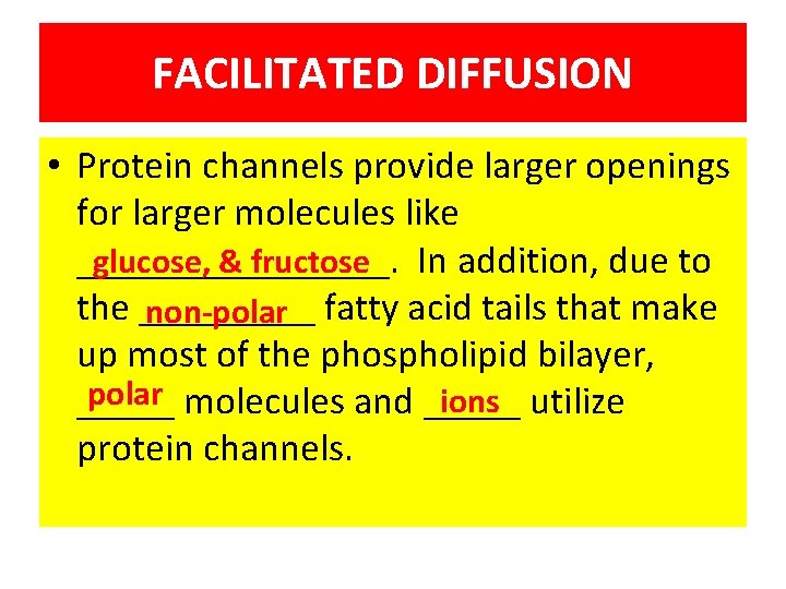 FACILITATED DIFFUSION • Protein channels provide larger openings for larger molecules like glucose, &