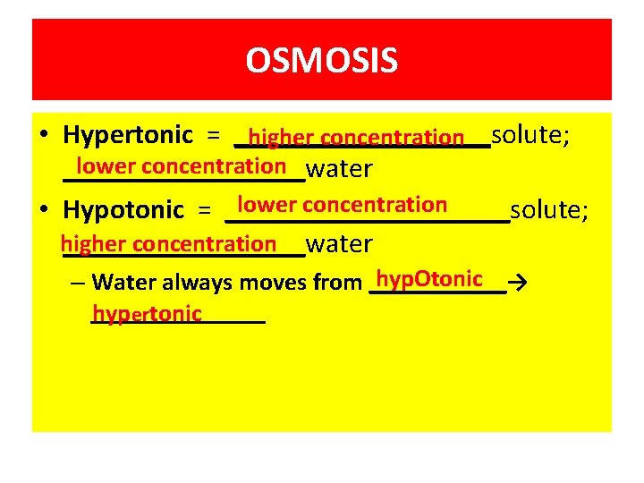 OSMOSIS • Hypertonic = _________solute; higher concentration lower concentration _________water lower concentration • Hypotonic