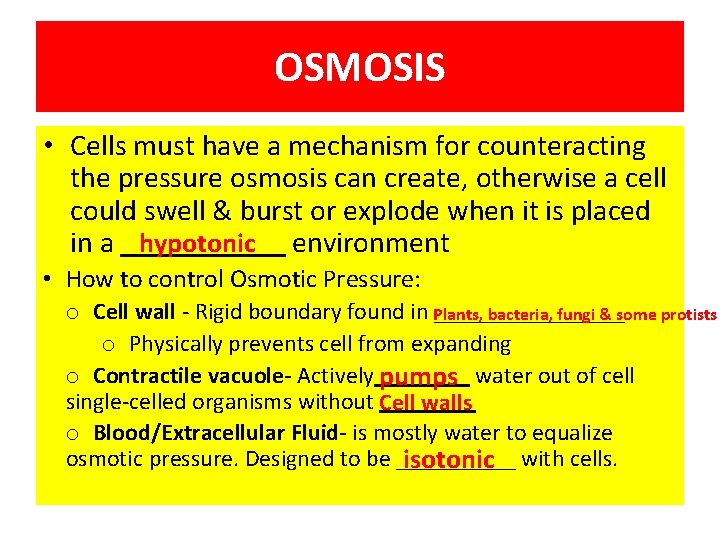 OSMOSIS • Cells must have a mechanism for counteracting the pressure osmosis can create,