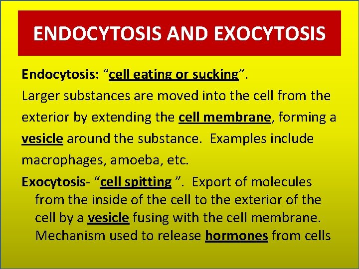 ENDOCYTOSIS AND EXOCYTOSIS Endocytosis: “cell eating or sucking”. Larger substances are moved into the