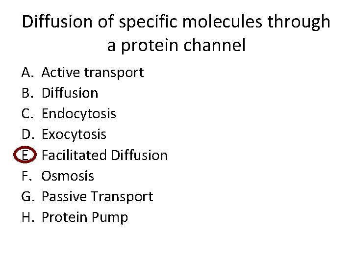 Diffusion of specific molecules through a protein channel A. B. C. D. E. F.