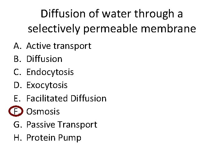 Diffusion of water through a selectively permeable membrane A. B. C. D. E. F.