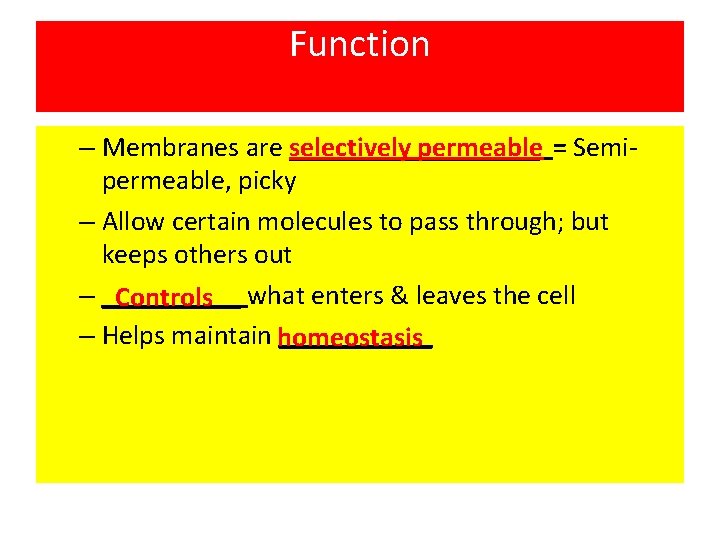 Function – Membranes are _________ selectively permeable = Semipermeable, picky – Allow certain molecules