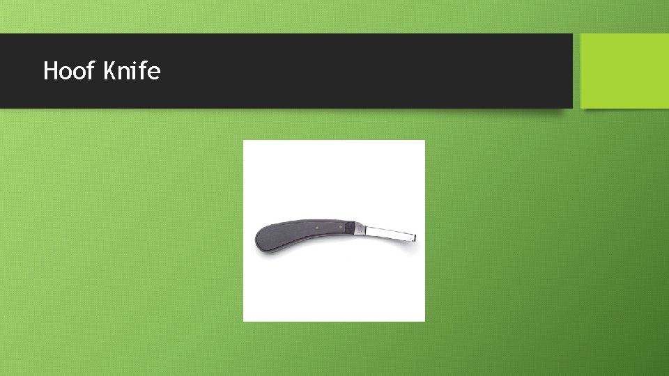 Hoof Knife 