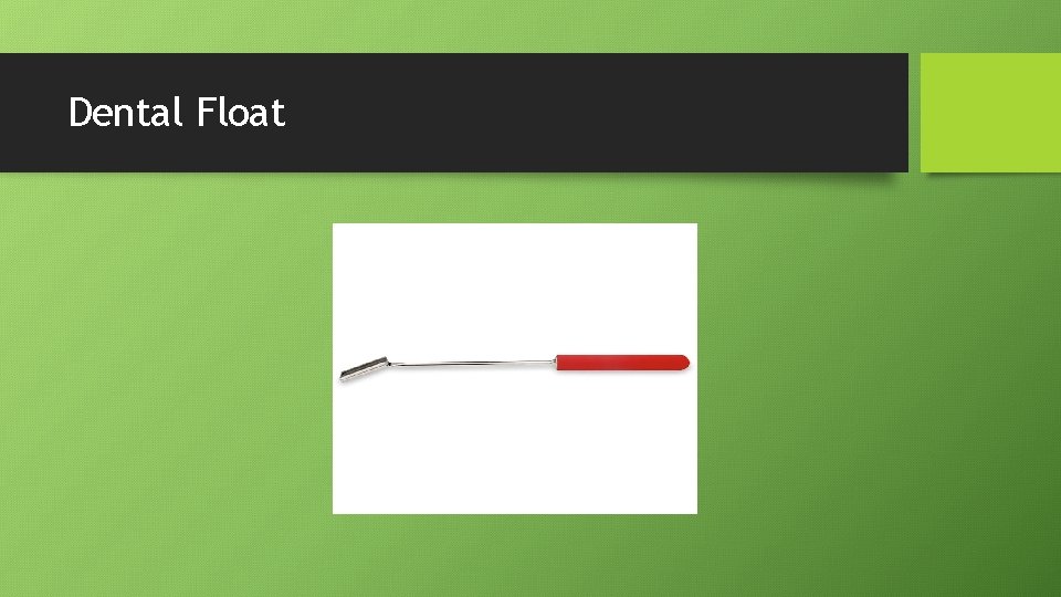 Dental Float 