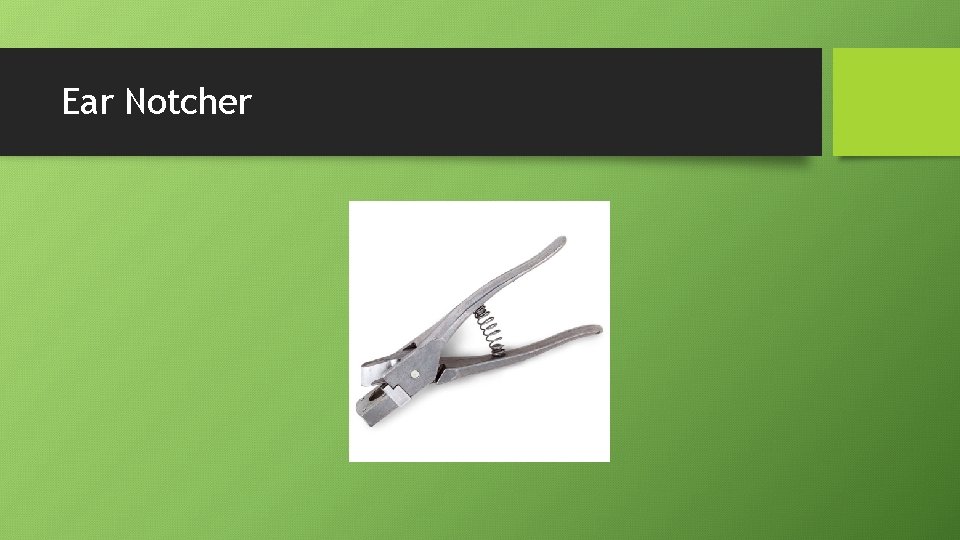Ear Notcher 