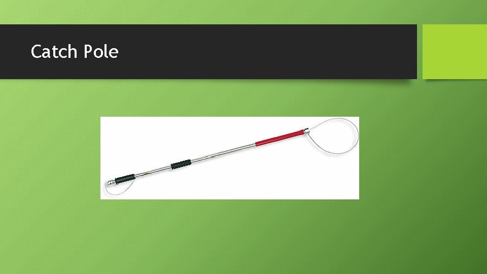 Catch Pole 