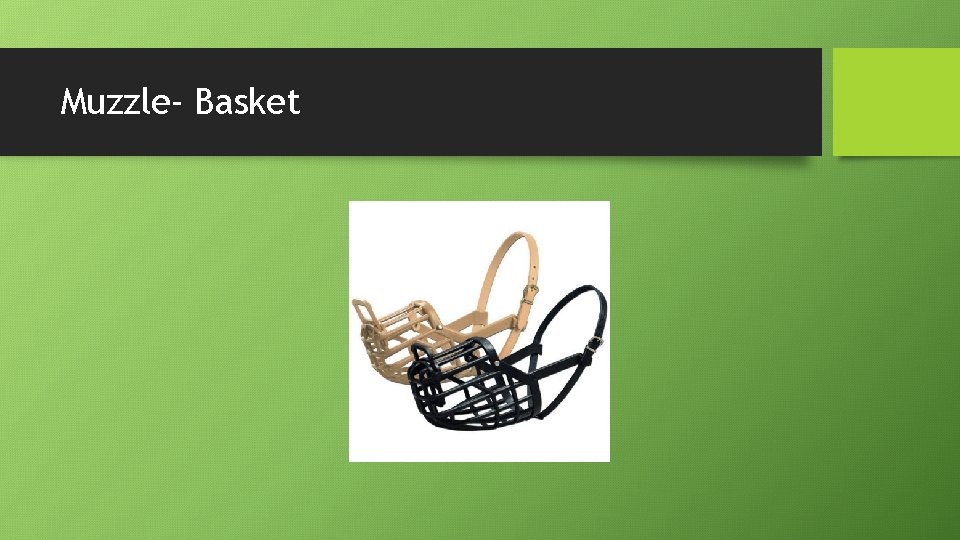 Muzzle- Basket 