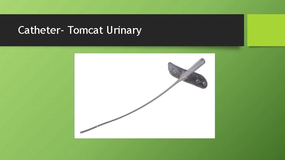 Catheter- Tomcat Urinary 