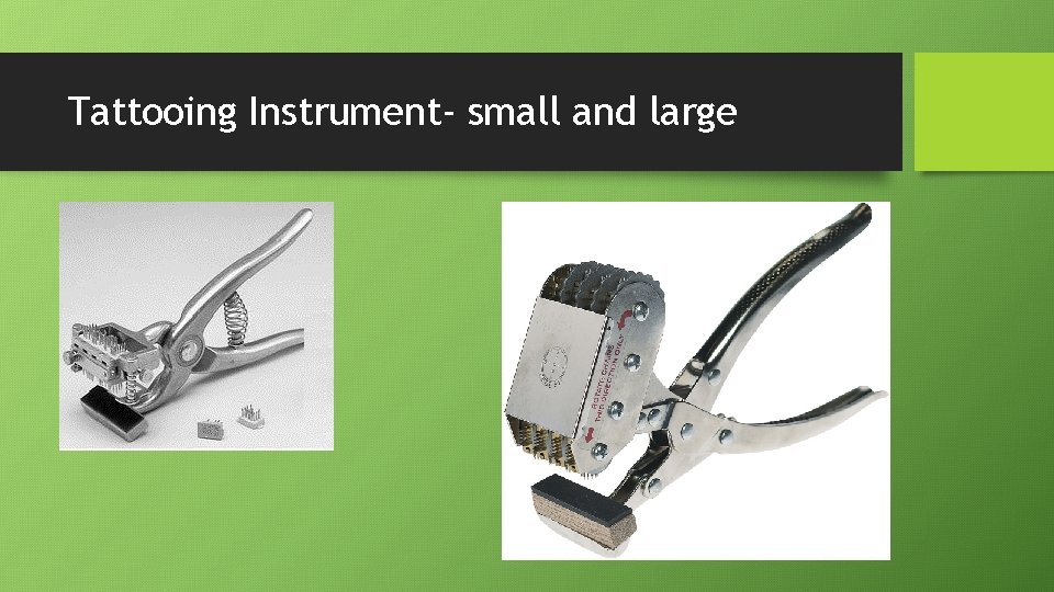 Tattooing Instrument- small and large 