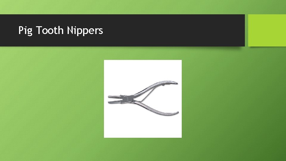 Pig Tooth Nippers 