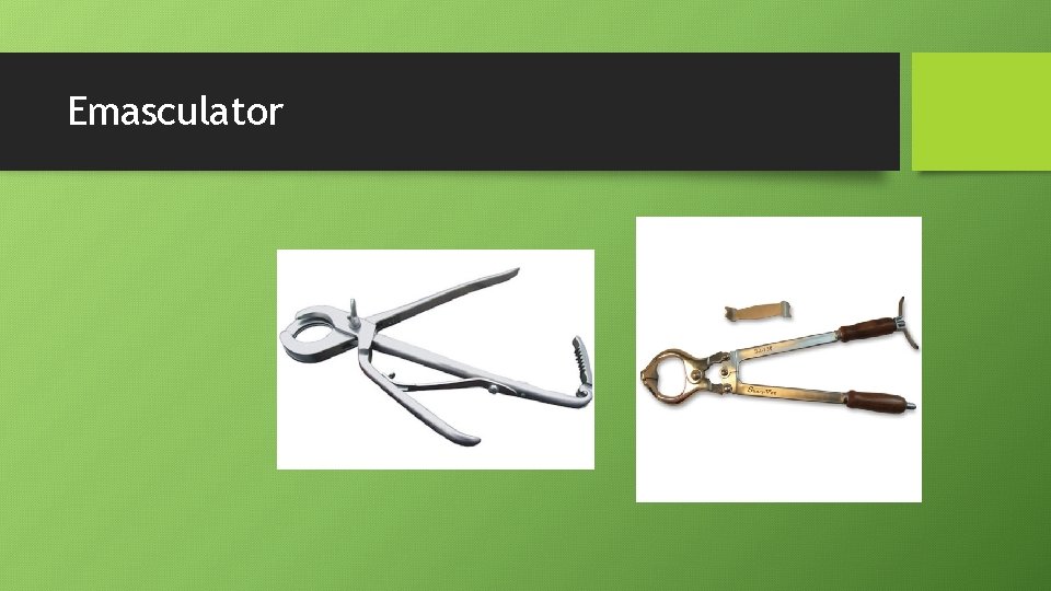Emasculator 