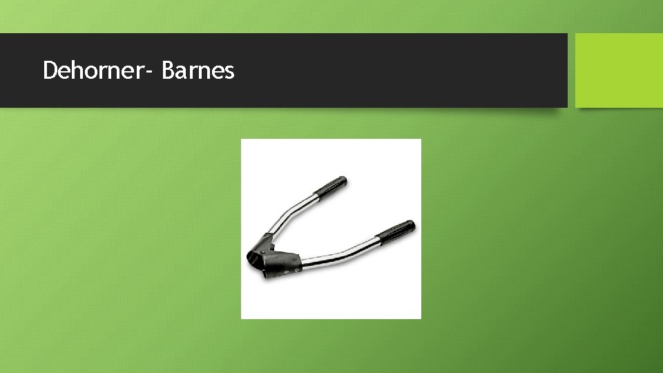 Dehorner- Barnes 