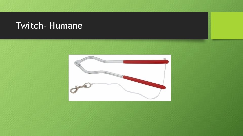 Twitch- Humane 