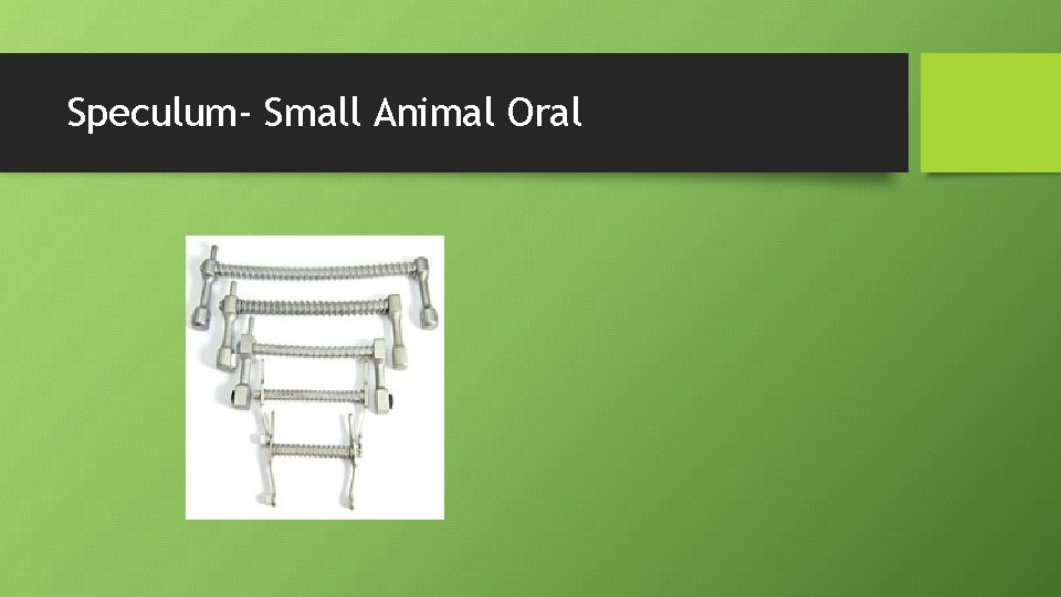 Speculum- Small Animal Oral 