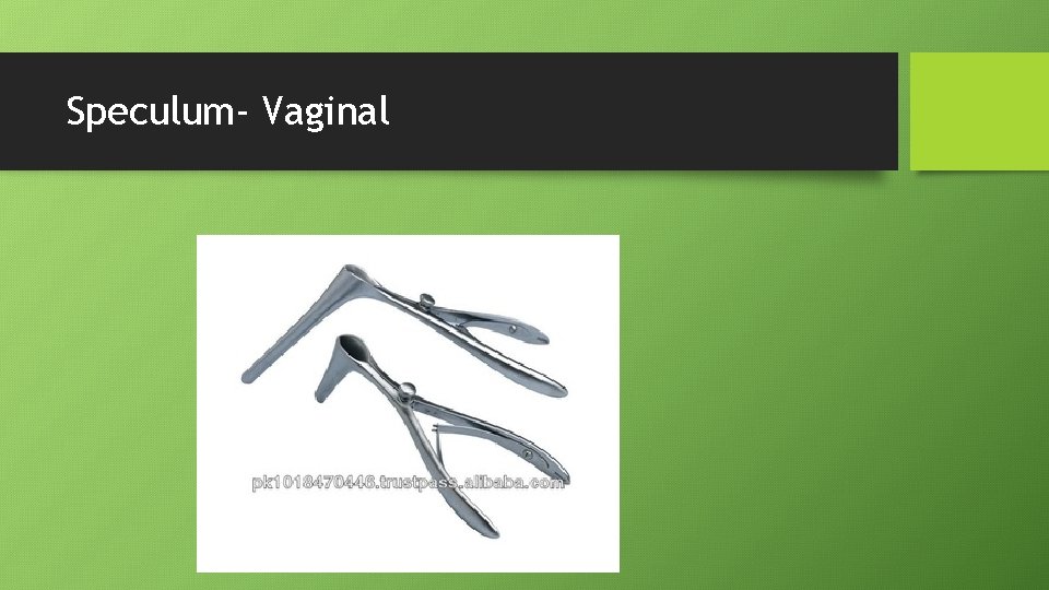 Speculum- Vaginal 