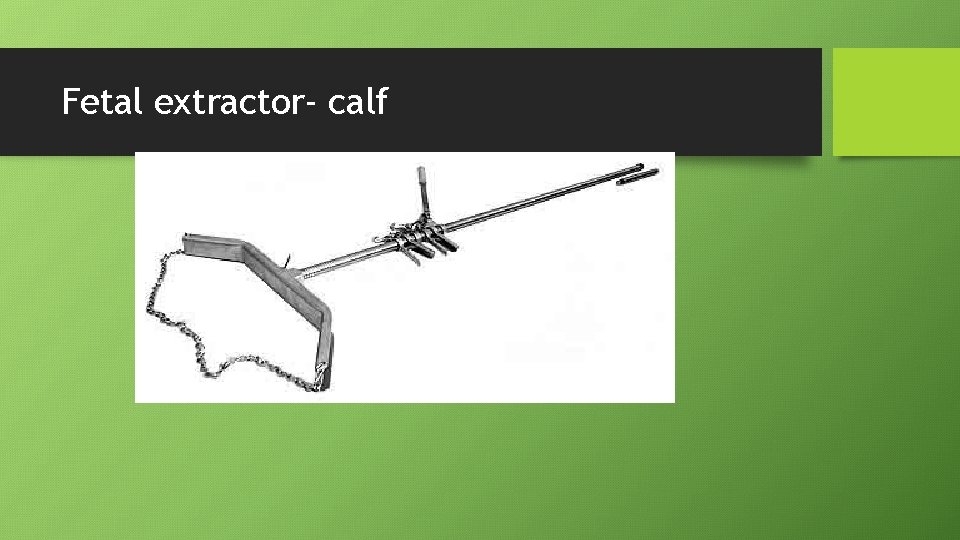 Fetal extractor- calf 