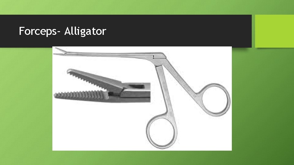 Forceps- Alligator 