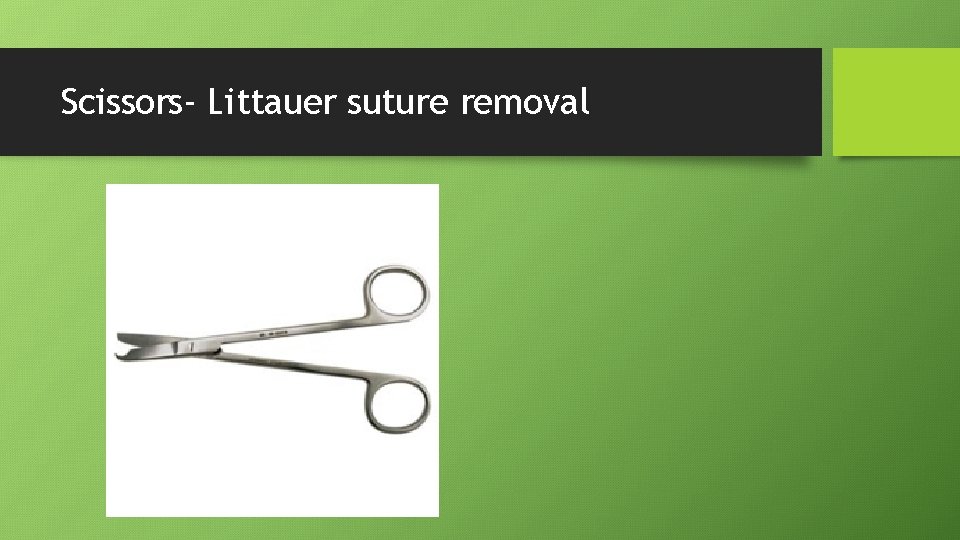 Scissors- Littauer suture removal 