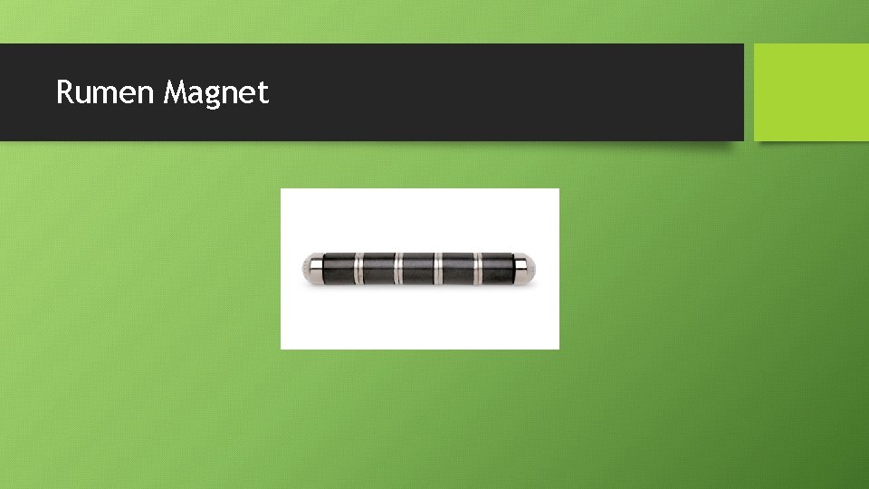 Rumen Magnet 