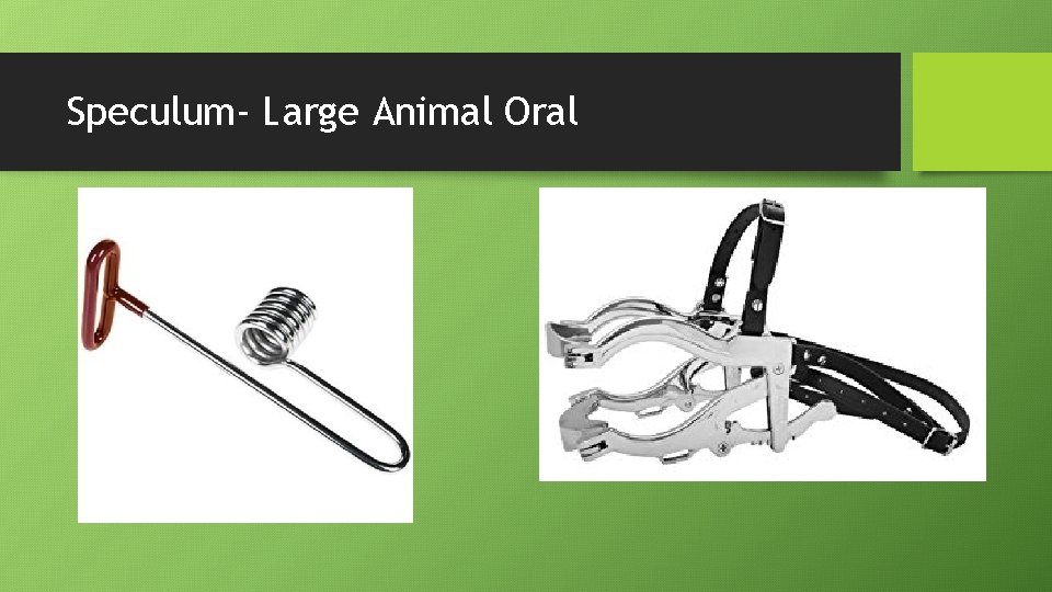 Speculum- Large Animal Oral 