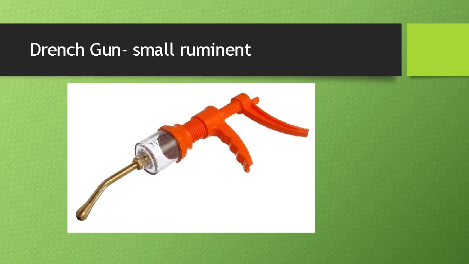 Drench Gun- small ruminent 